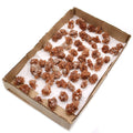 Mineral Specimens - Aragonite (approx 20 pieces)